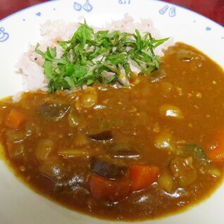 ころころスパイシー夏野菜時短カレー